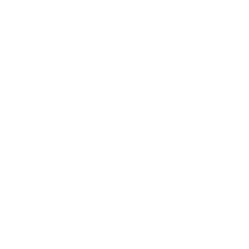 Raresca Autopartes